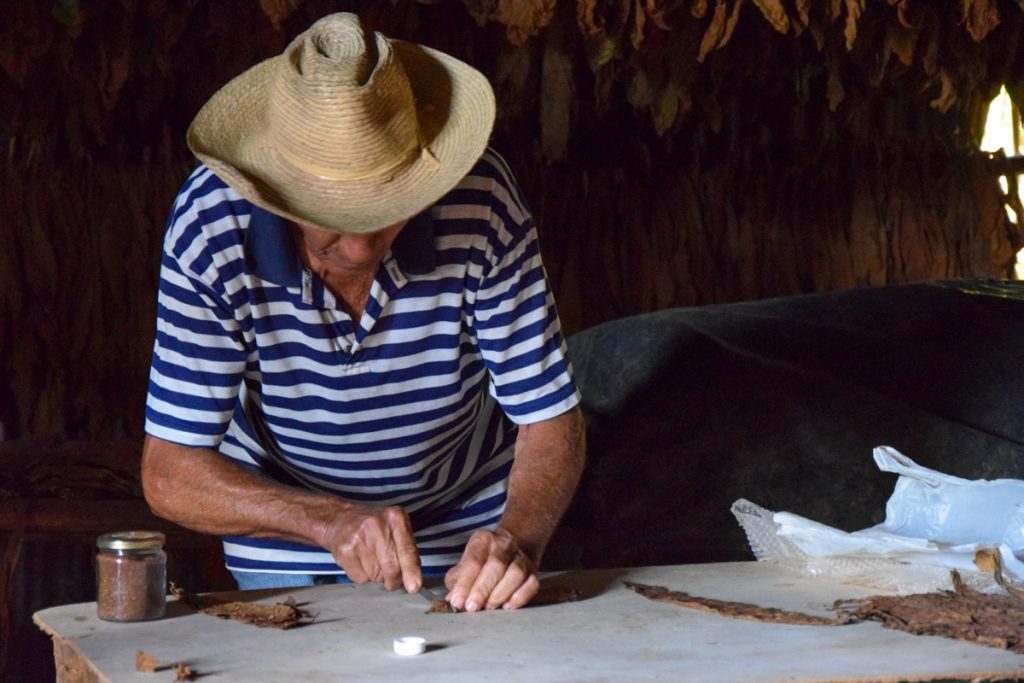 Sigaro Cubano a Vinales